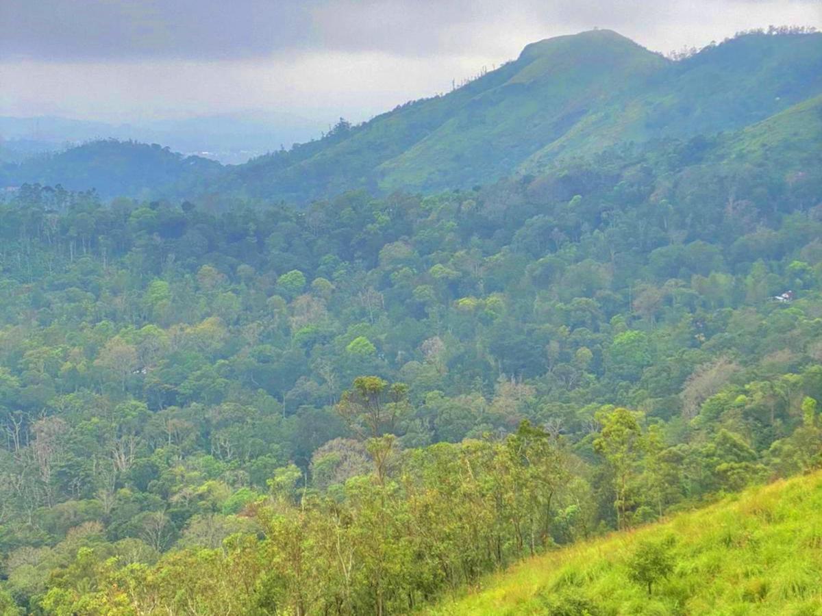The Windy Mist Resort Munnar Chinnakanal 外观 照片